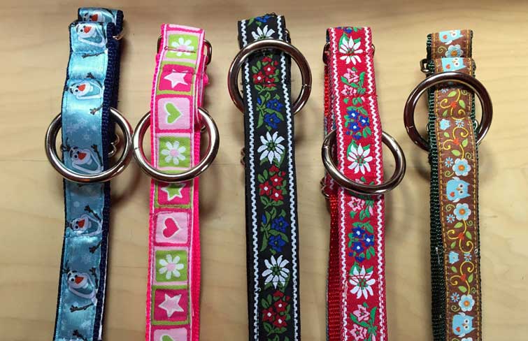 Multiple options for collars and leashes