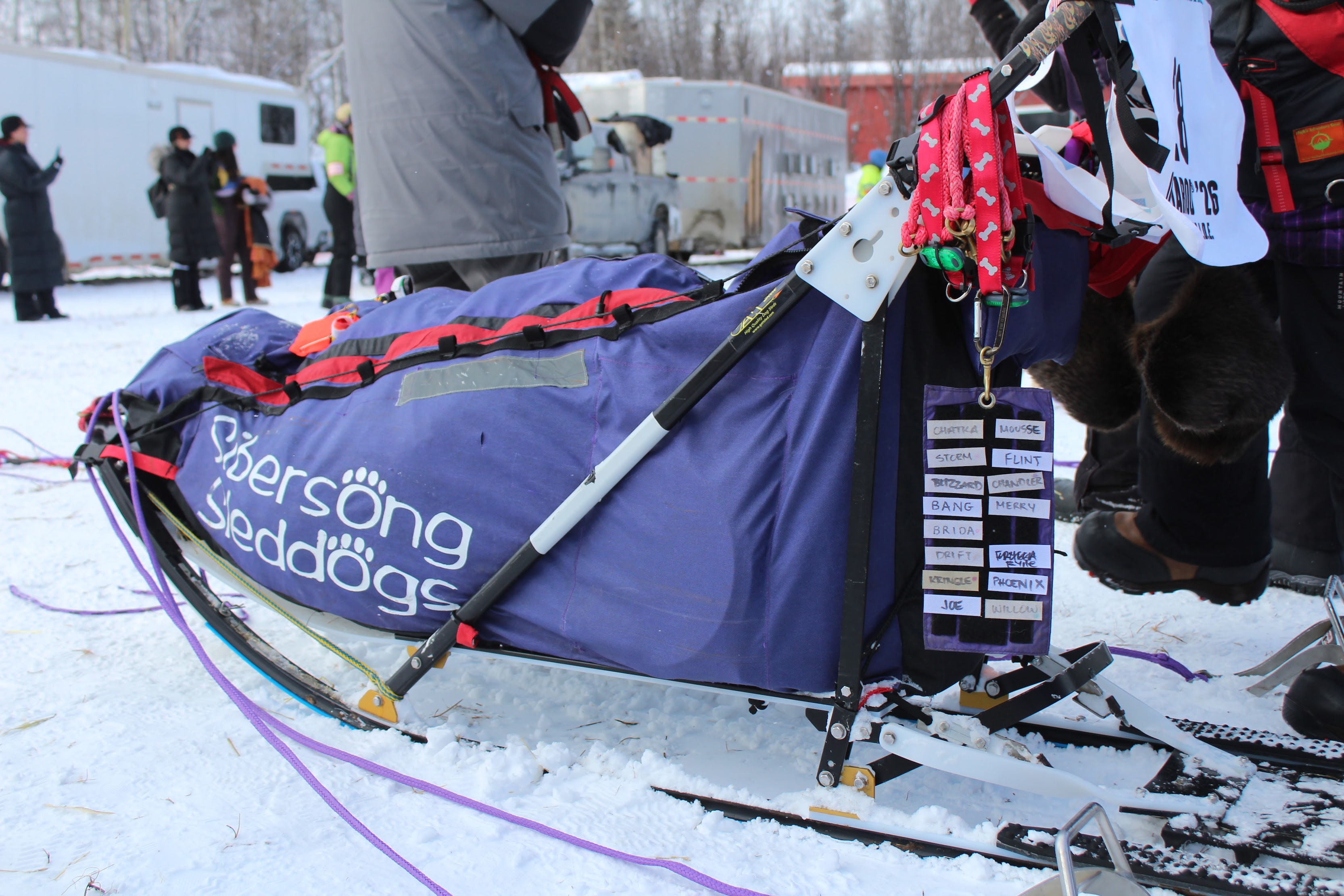 Sled Bag with Team Board